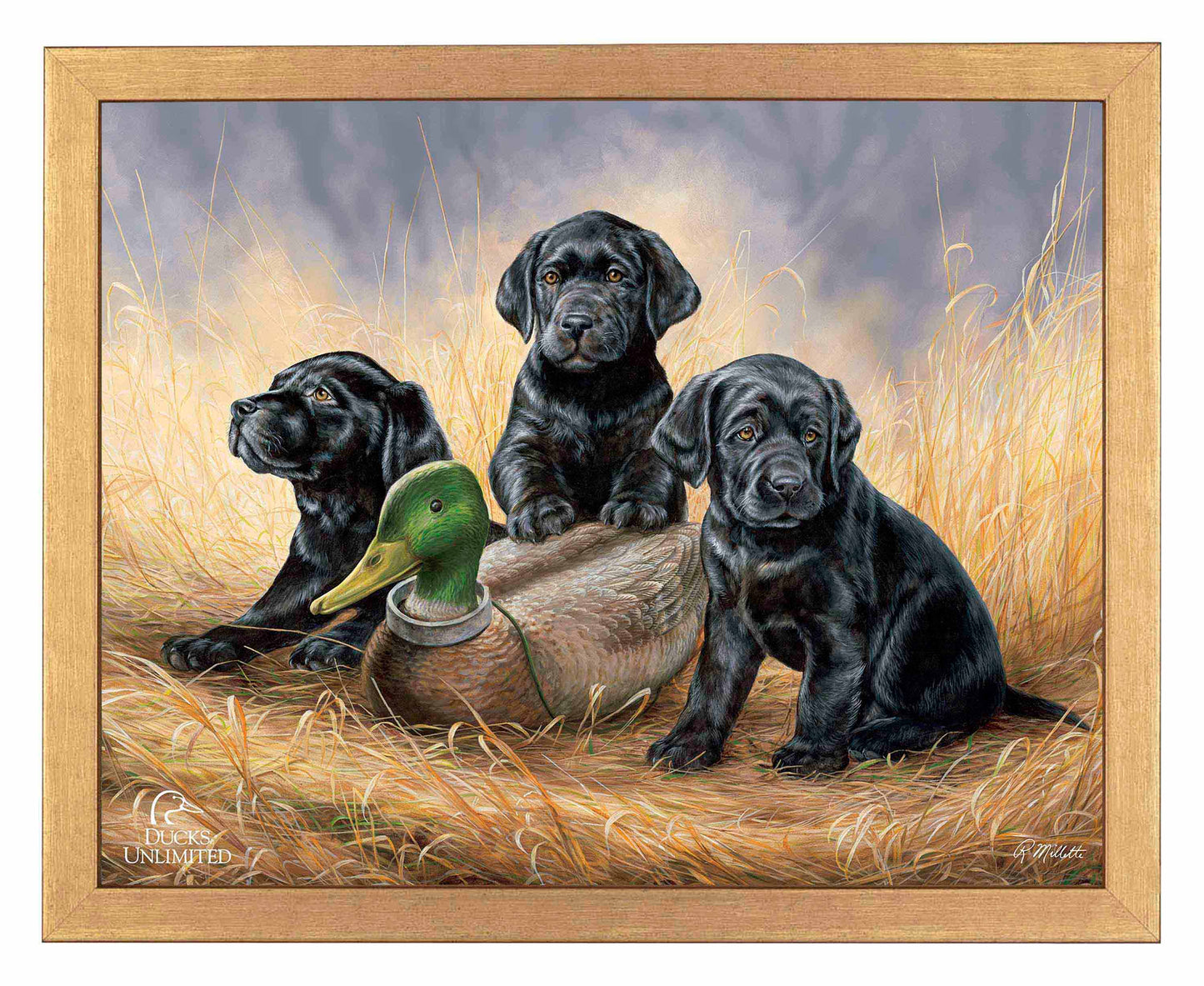 Ready for Class - Black Lab Puppies Art Prints - Official Ducks Unlimited Art