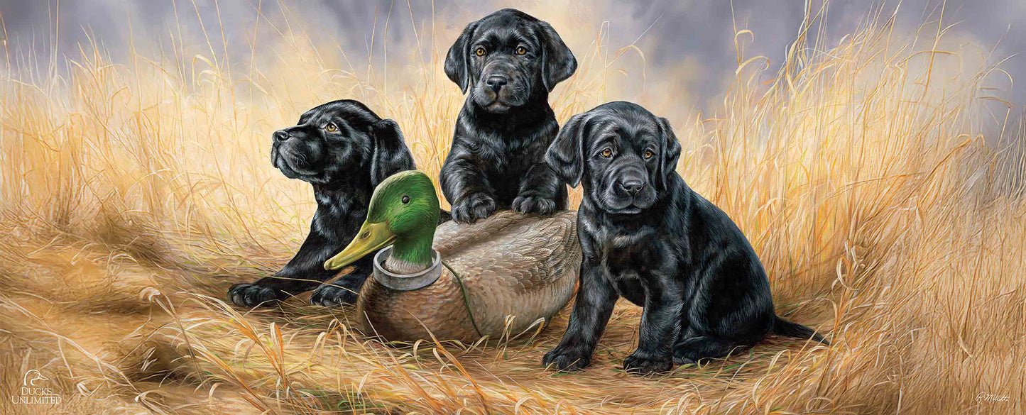 Ready for Class - Black Lab Puppies 12" x 30" Wood Sign - Official Ducks Unlimited Art
