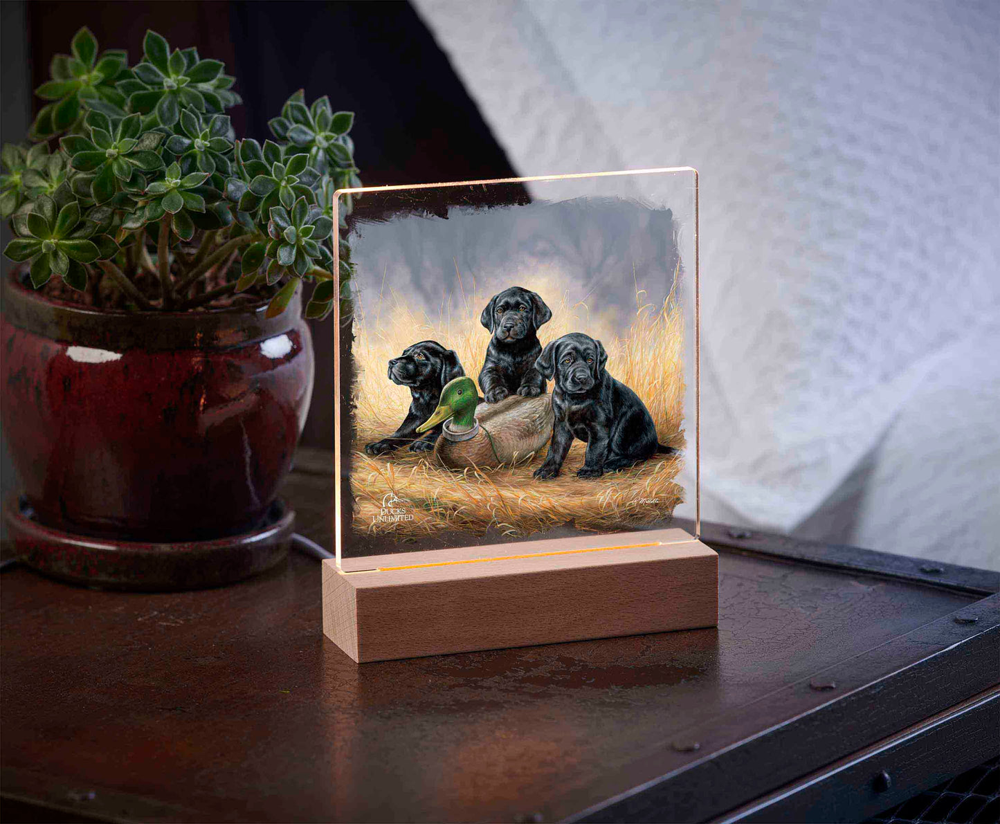 Ready for Class - Black Lab Puppies 6.37" x 6" Acrylic Nightlights - Official Ducks Unlimited Art