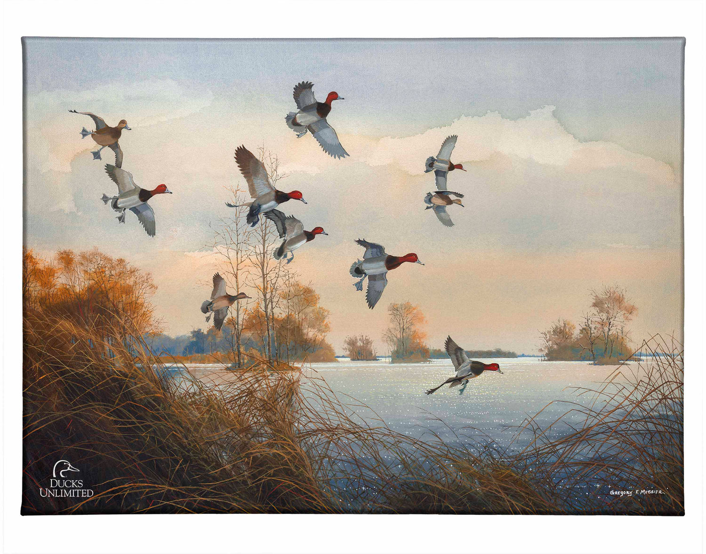 Redheads Redoubt Gallery Wrapped Canvas - Official Ducks Unlimited Art