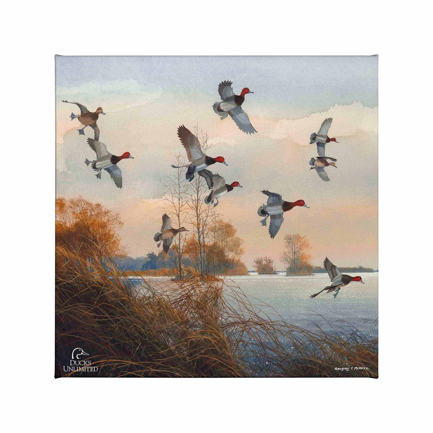 Redheads Redoubt Gallery Wrapped Canvas - Official Ducks Unlimited Art