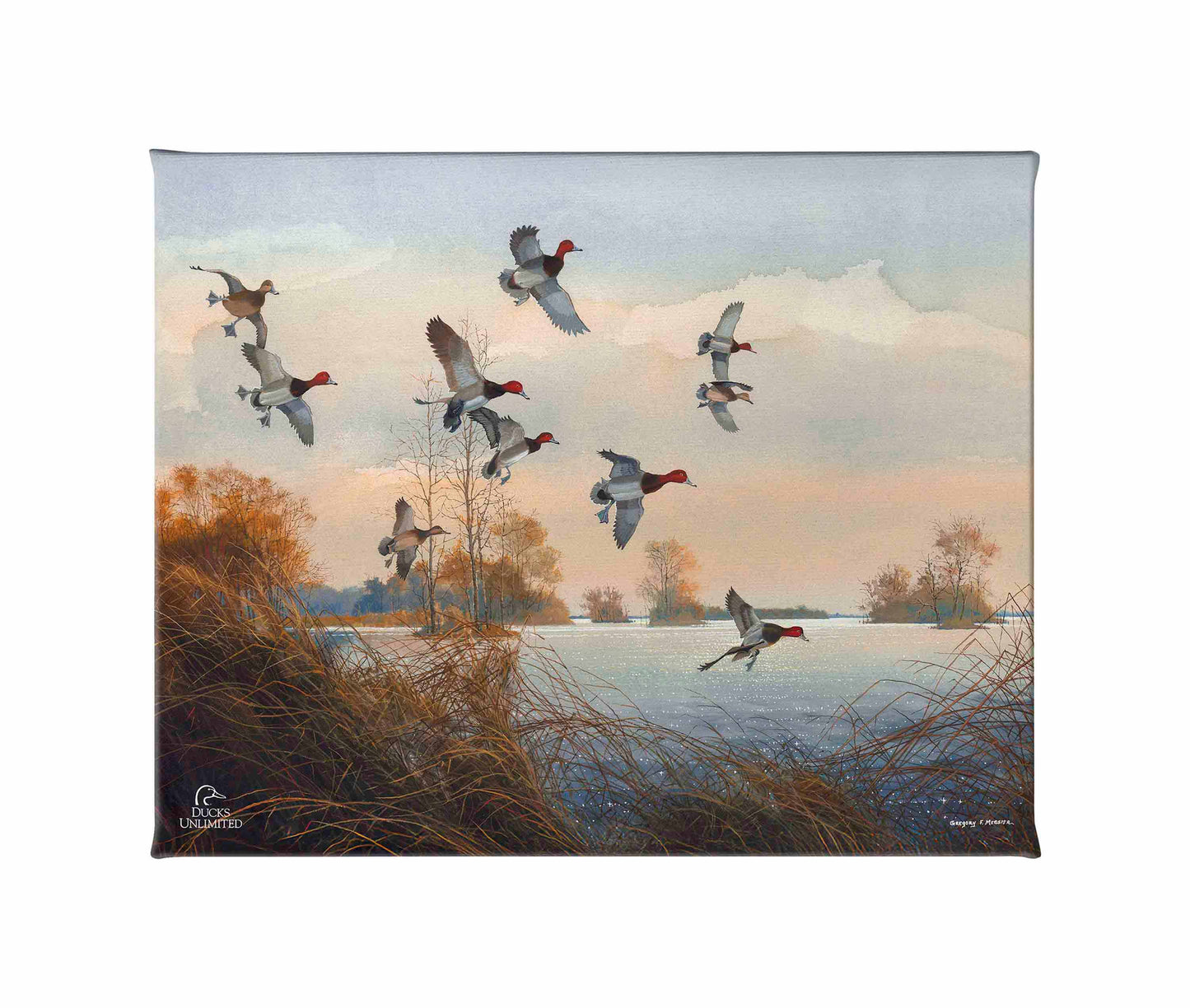 Redheads Redoubt Gallery Wrapped Canvas - Official Ducks Unlimited Art