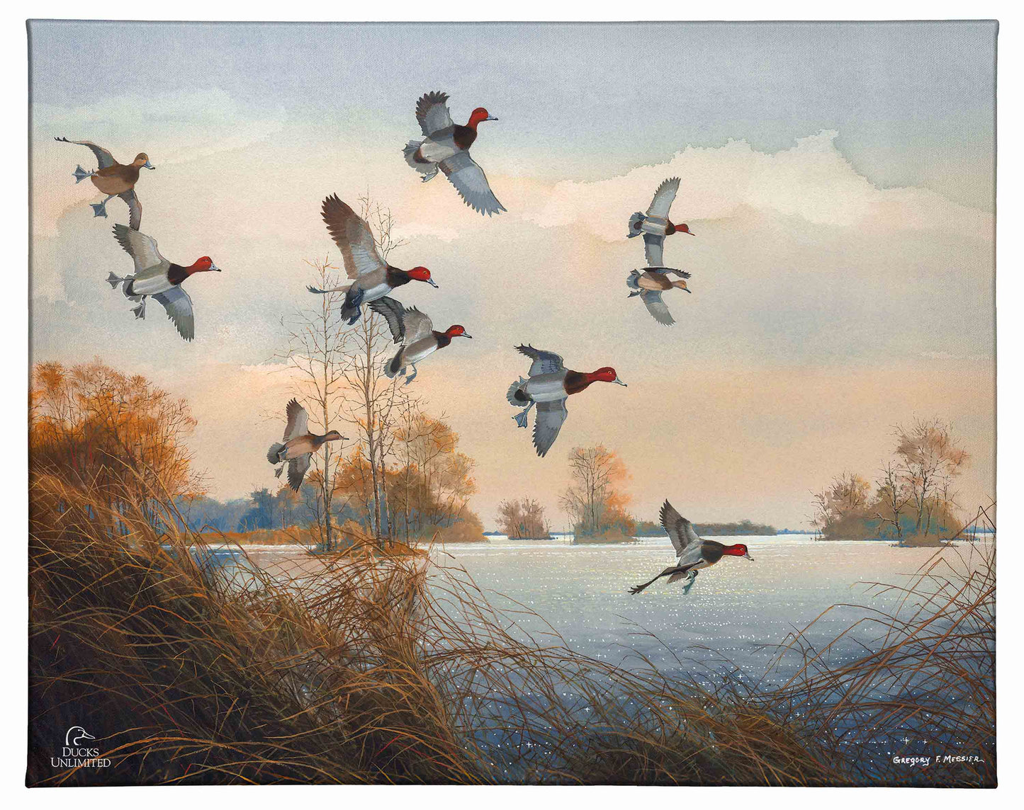 Redheads Redoubt Gallery Wrapped Canvas - Official Ducks Unlimited Art