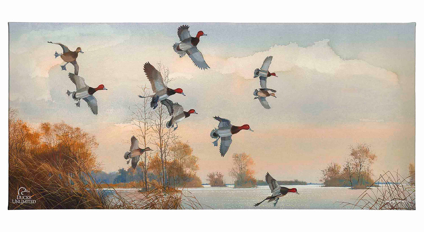 Redheads Redoubt Gallery Wrapped Canvas - Official Ducks Unlimited Art