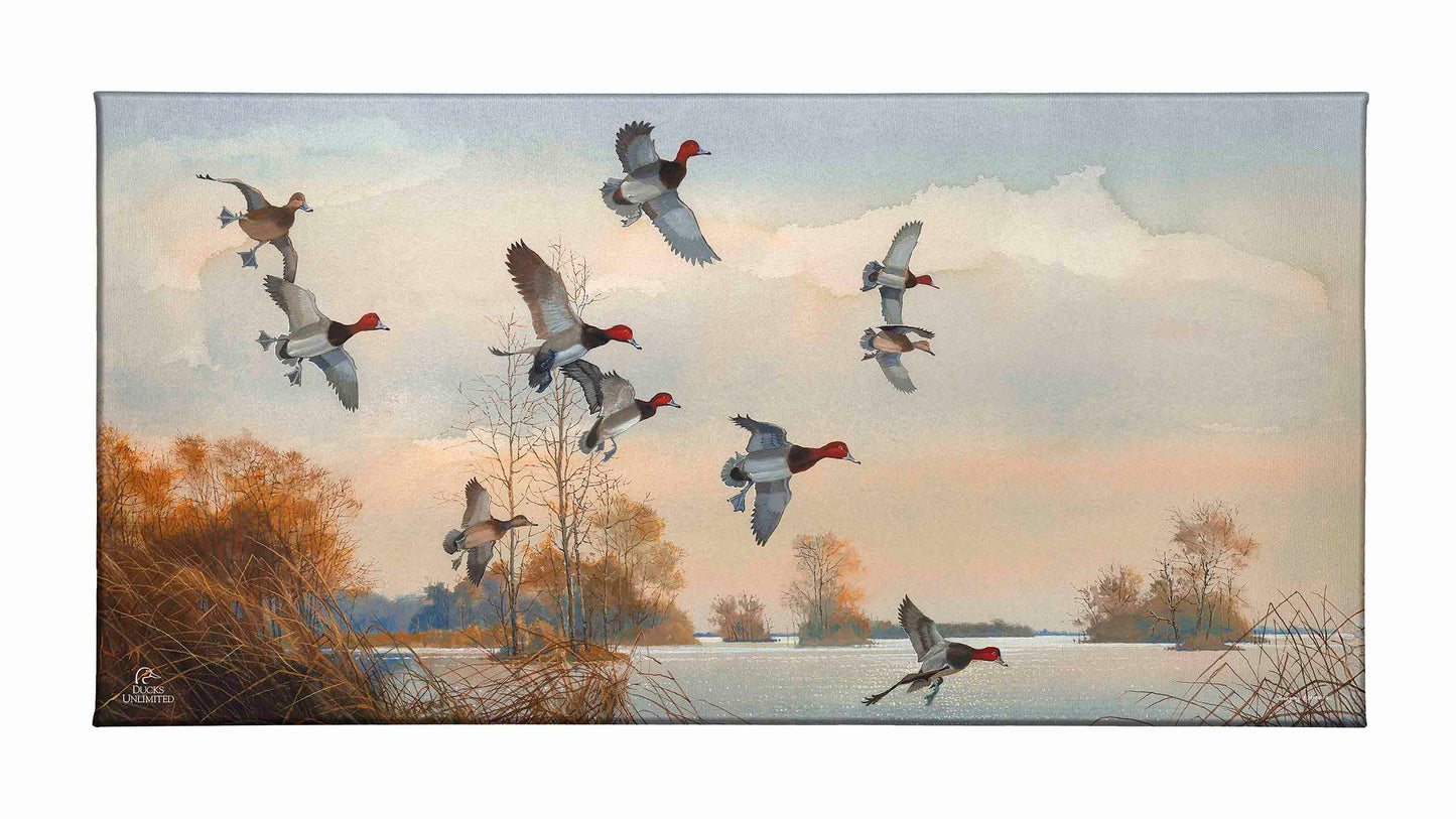 Redheads Redoubt Gallery Wrapped Canvas - Official Ducks Unlimited Art
