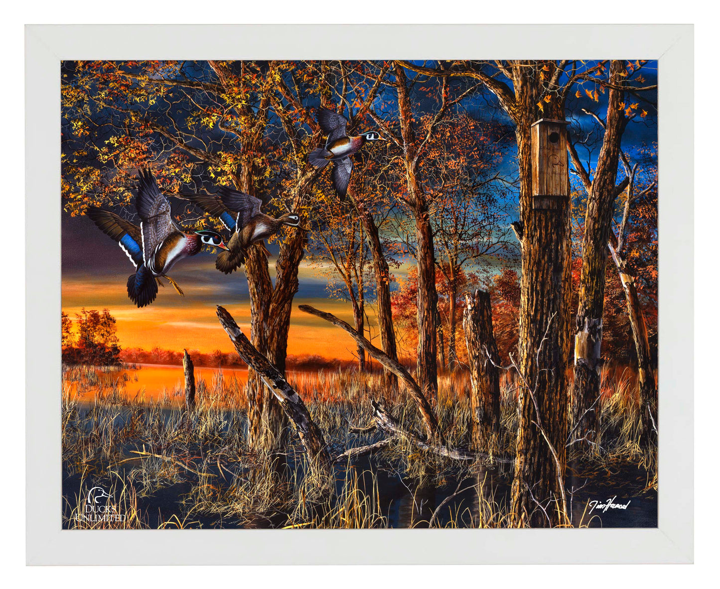Return to the Refuge  Art Prints - Official Ducks Unlimited Art