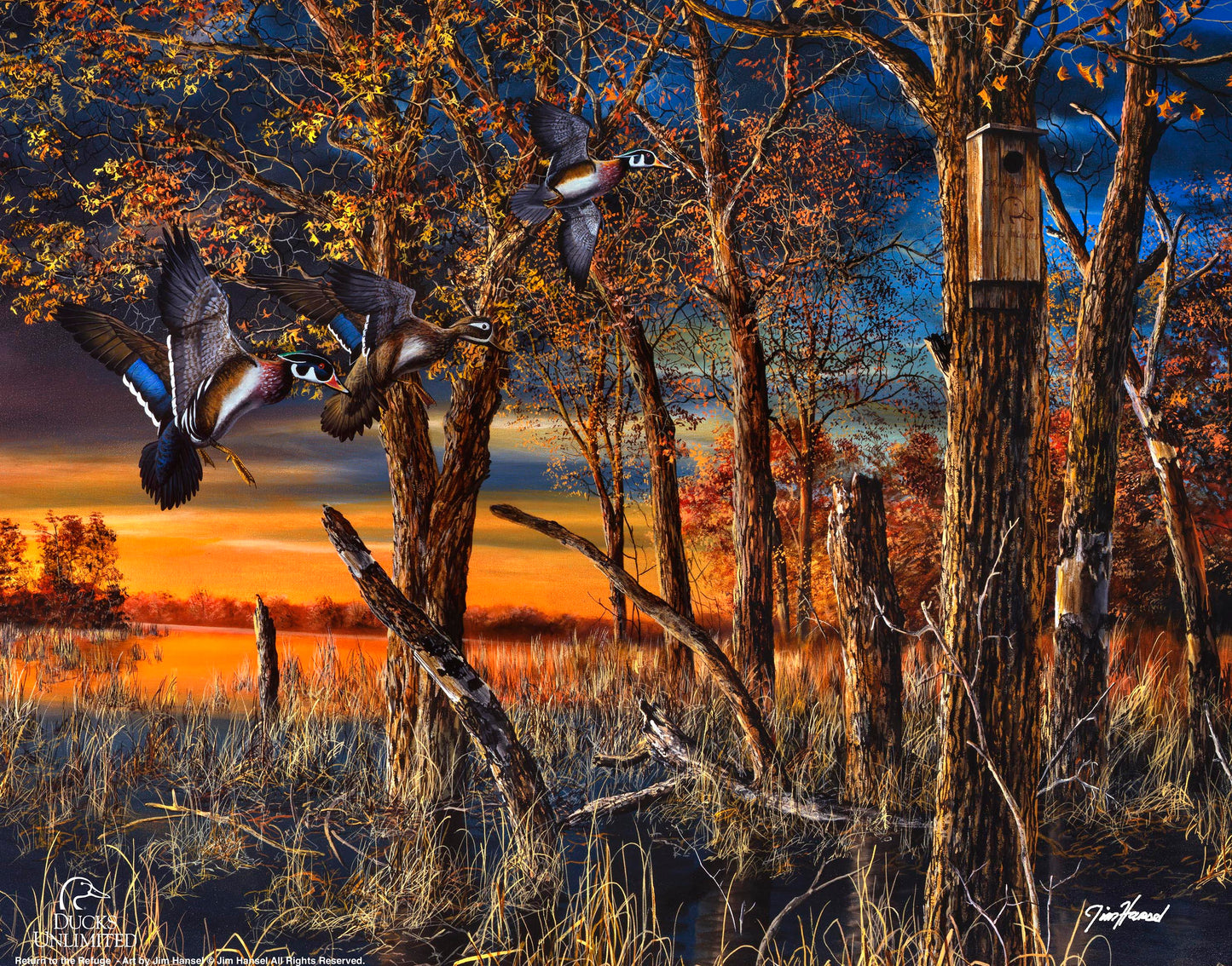 Return to the Refuge  Art Prints - Official Ducks Unlimited Art