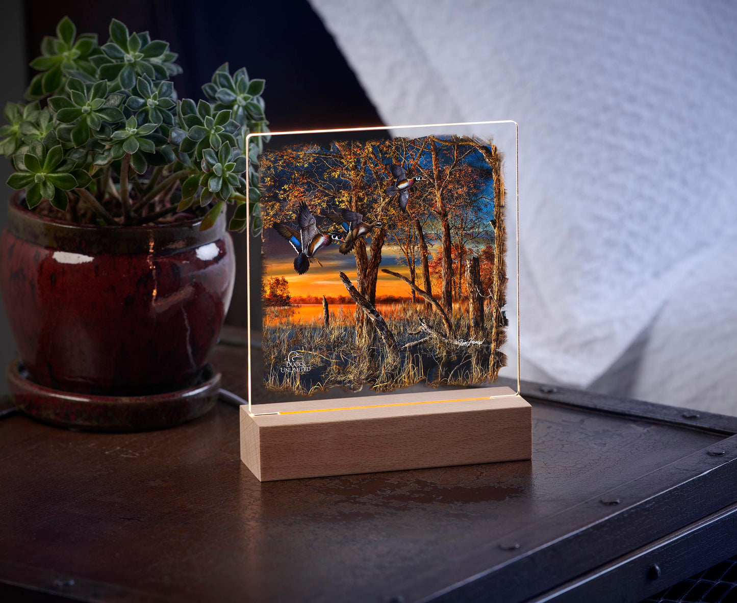 Return to the Refuge Acrylic Night Light - Official Ducks Unlimited Art