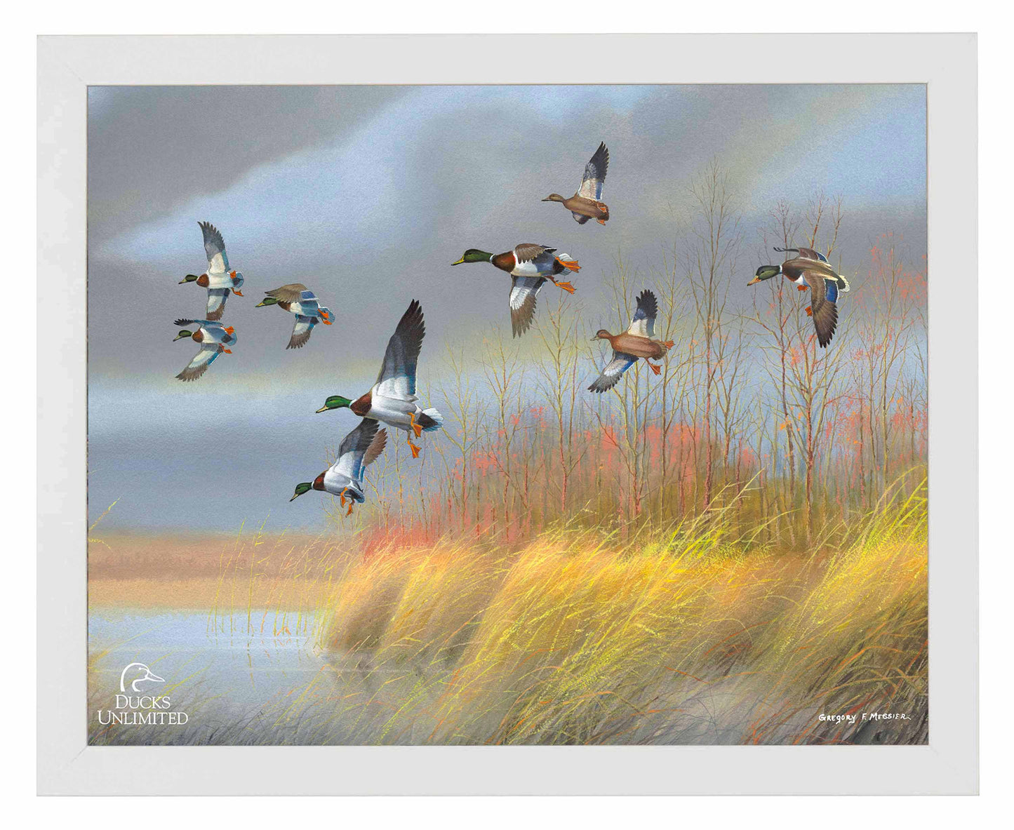 Returning Home  Mallards  Art Prints - Official Ducks Unlimited Art