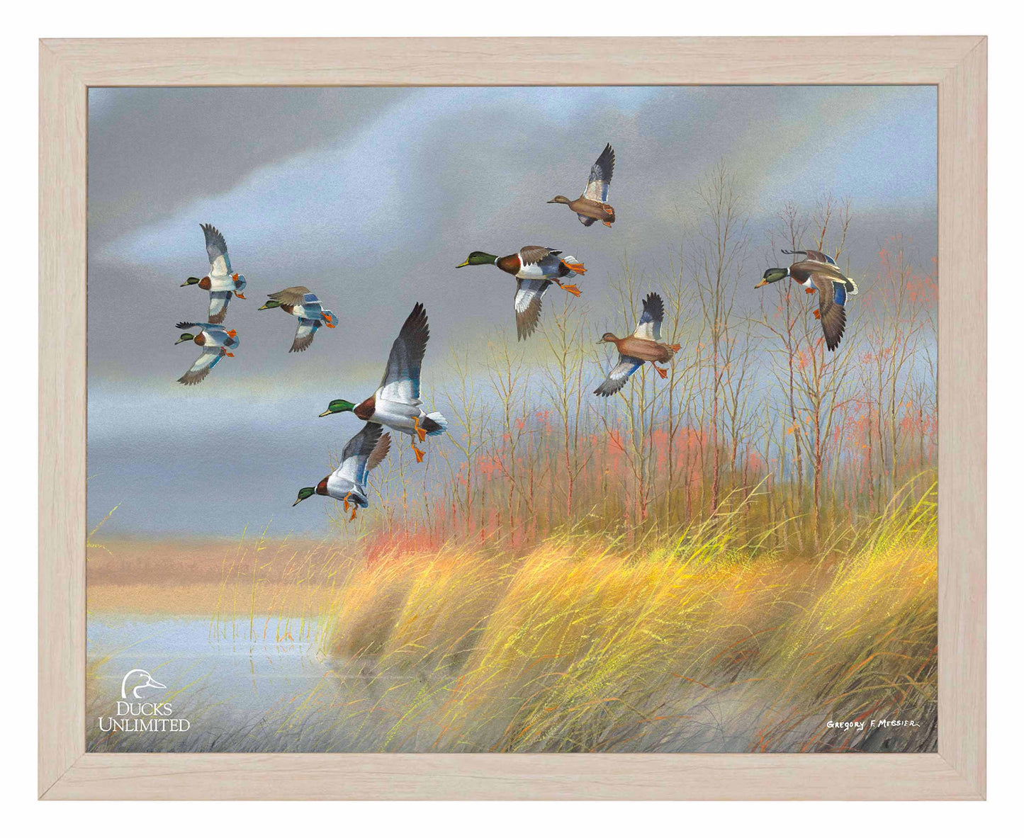 Returning Home  Mallards  Art Prints - Official Ducks Unlimited Art