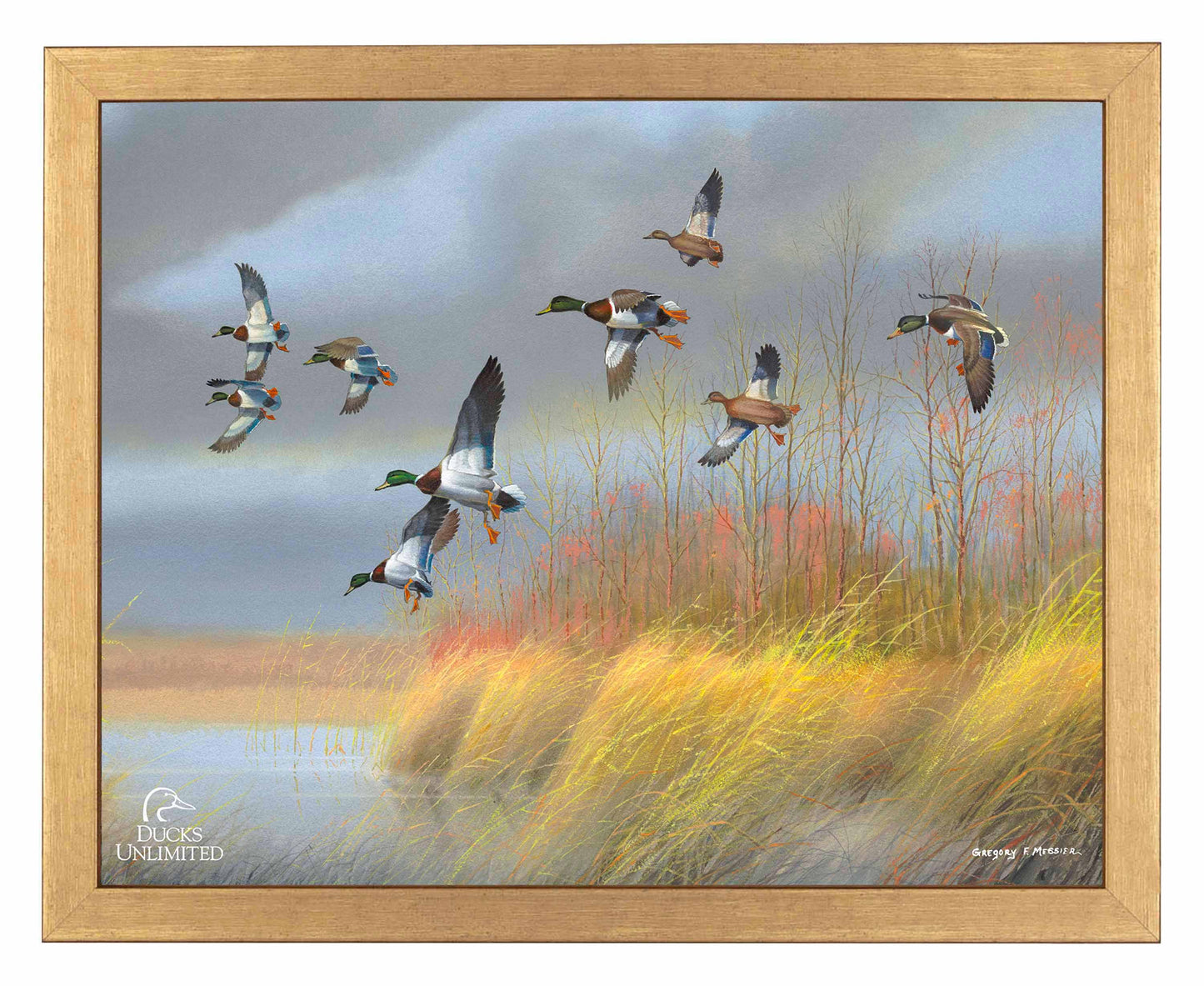 Returning Home  Mallards  Art Prints - Official Ducks Unlimited Art