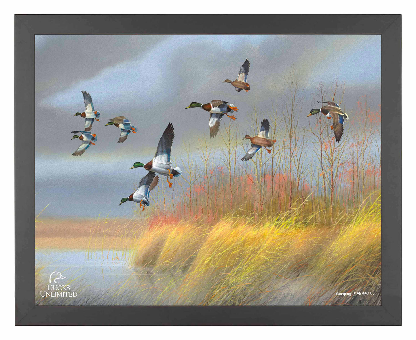 Returning Home  Mallards  Art Prints - Official Ducks Unlimited Art