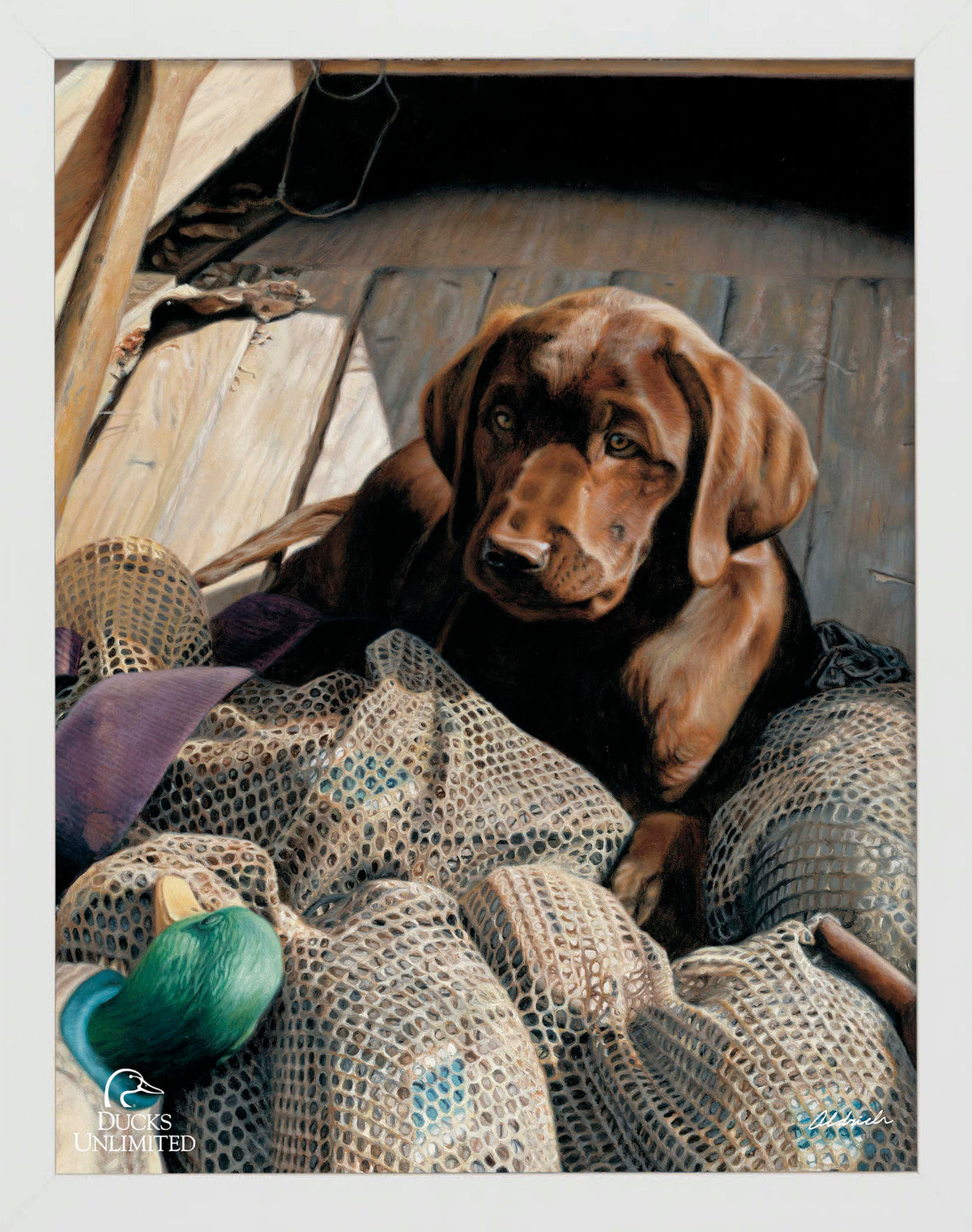 Rookie - Chocolate Lab Art Prints - Official Ducks Unlimited Art