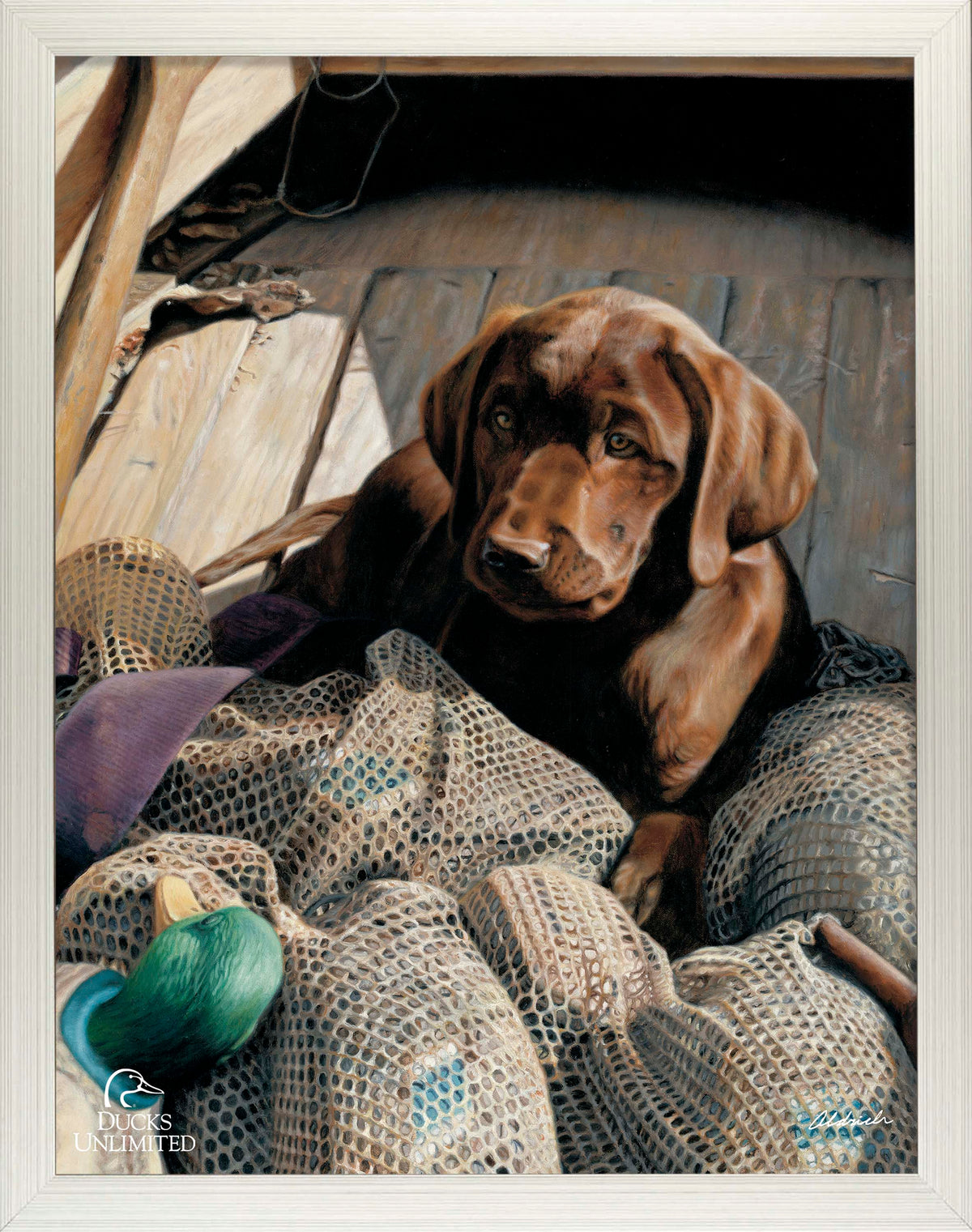 Rookie - Chocolate Lab Art Prints - Official Ducks Unlimited Art