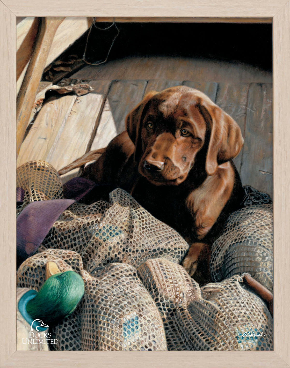 Rookie - Chocolate Lab Art Prints - Official Ducks Unlimited Art