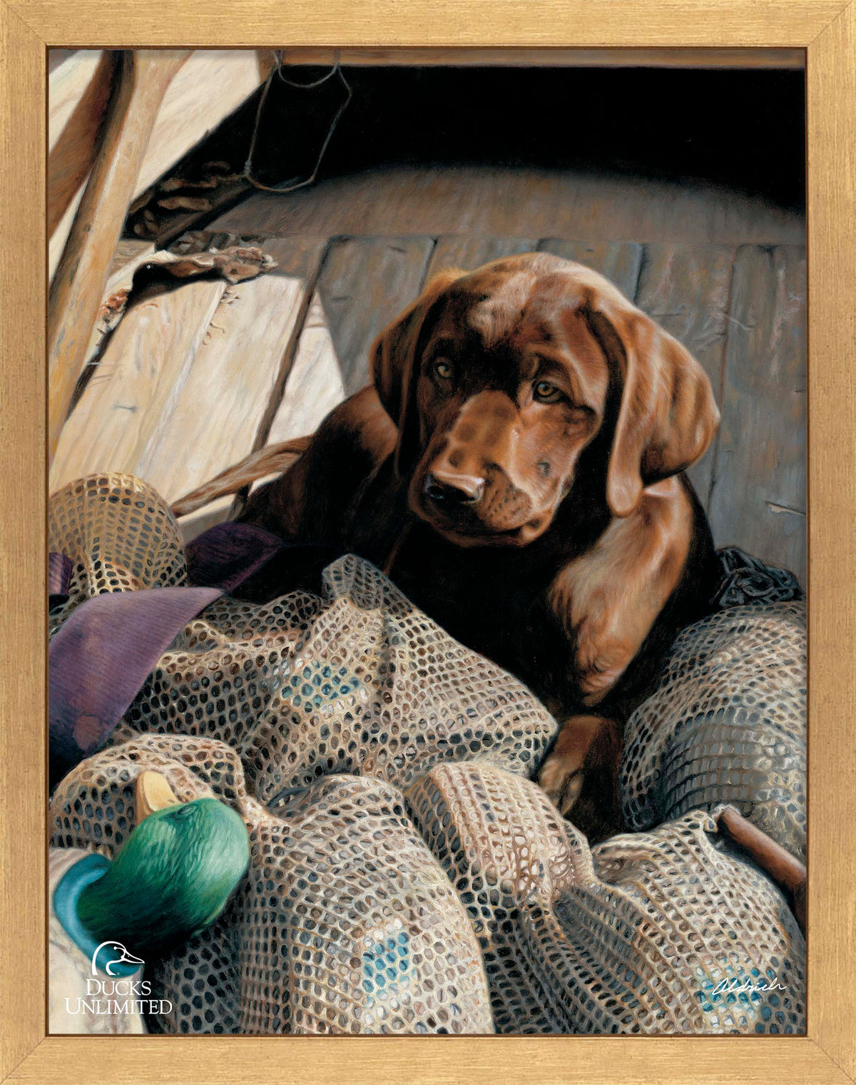 Rookie - Chocolate Lab Art Prints - Official Ducks Unlimited Art