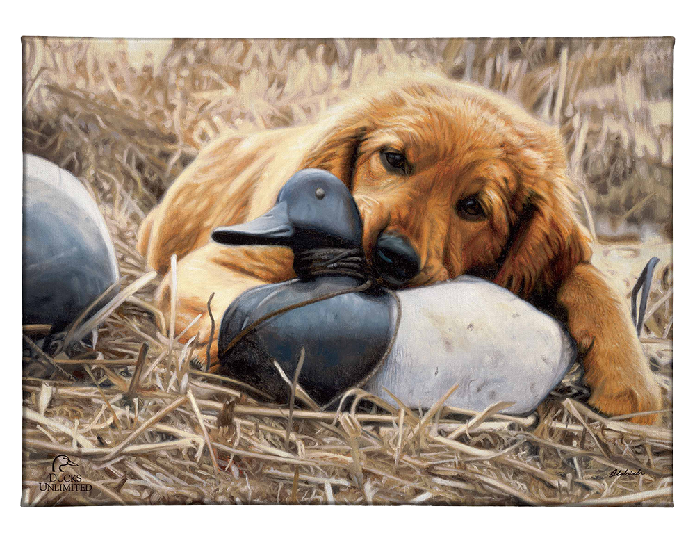 Shore Lunch Gallery Wrapped Canvas - Official Ducks Unlimited Art