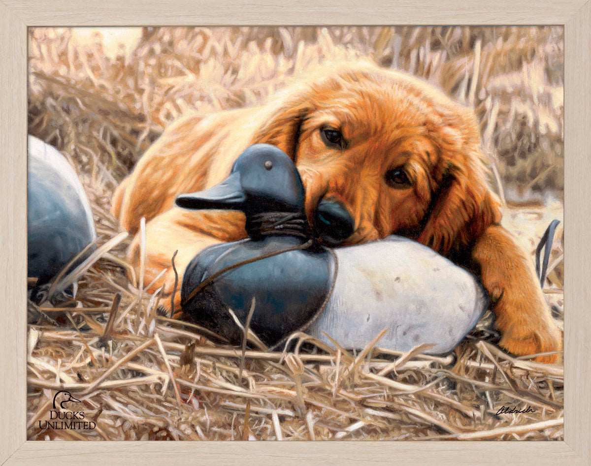 Shore Lunch Art Prints - Official Ducks Unlimited Art