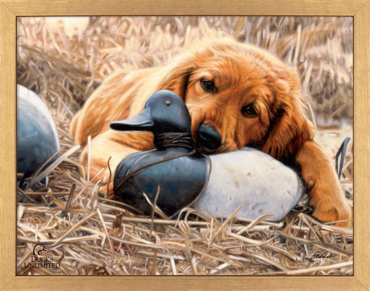 Shore Lunch Art Prints - Official Ducks Unlimited Art