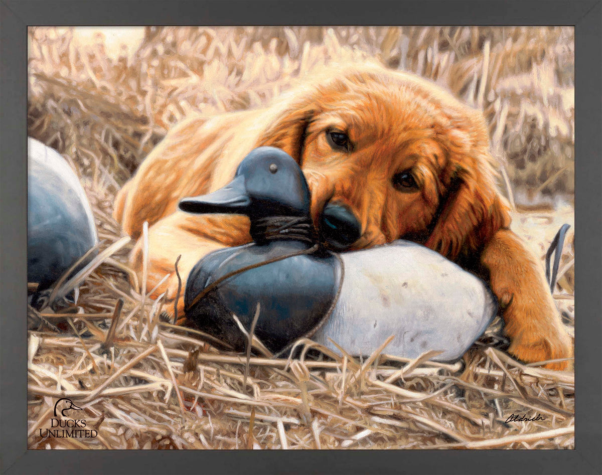 Shore Lunch Art Prints - Official Ducks Unlimited Art