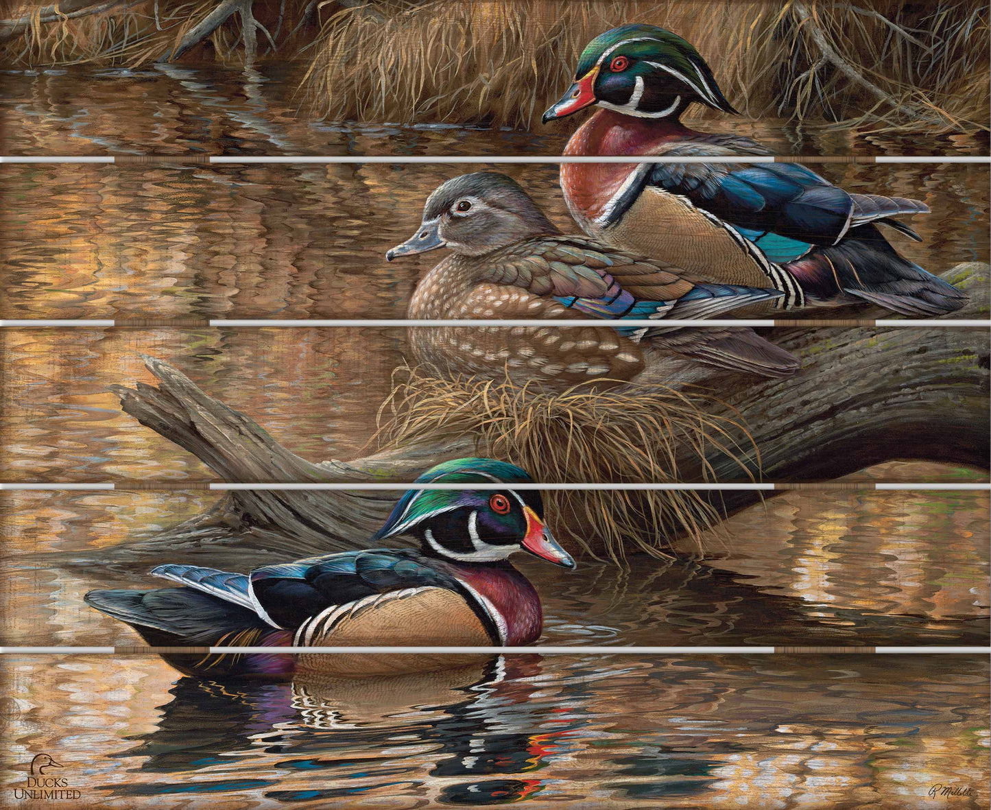 Sitting Pretty  Wood Ducks  18" x 22" Pallet Wall Art - Official Ducks Unlimited Art