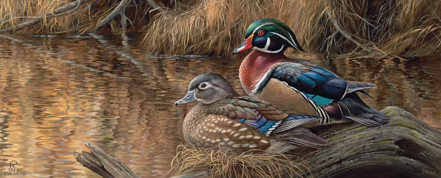 Sitting Pretty  Wood Ducks  12" x 30" Wood Sign - Official Ducks Unlimited Art