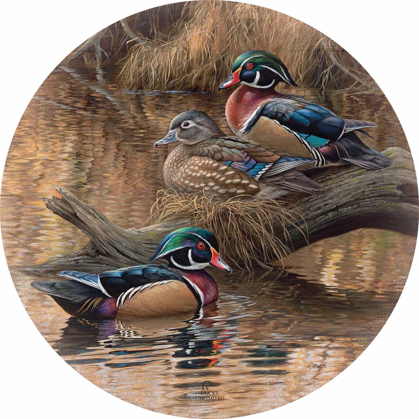Sitting Pretty  Wood Ducks  21" Round Wood Sign - Official Ducks Unlimited Art