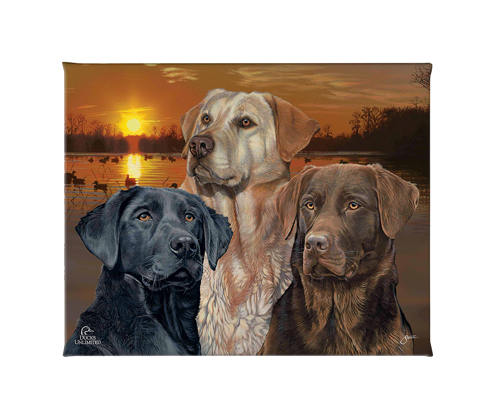 Labrador Retriever Element - Gallery Wrapped Canvas - Official Ducks Unlimited Art