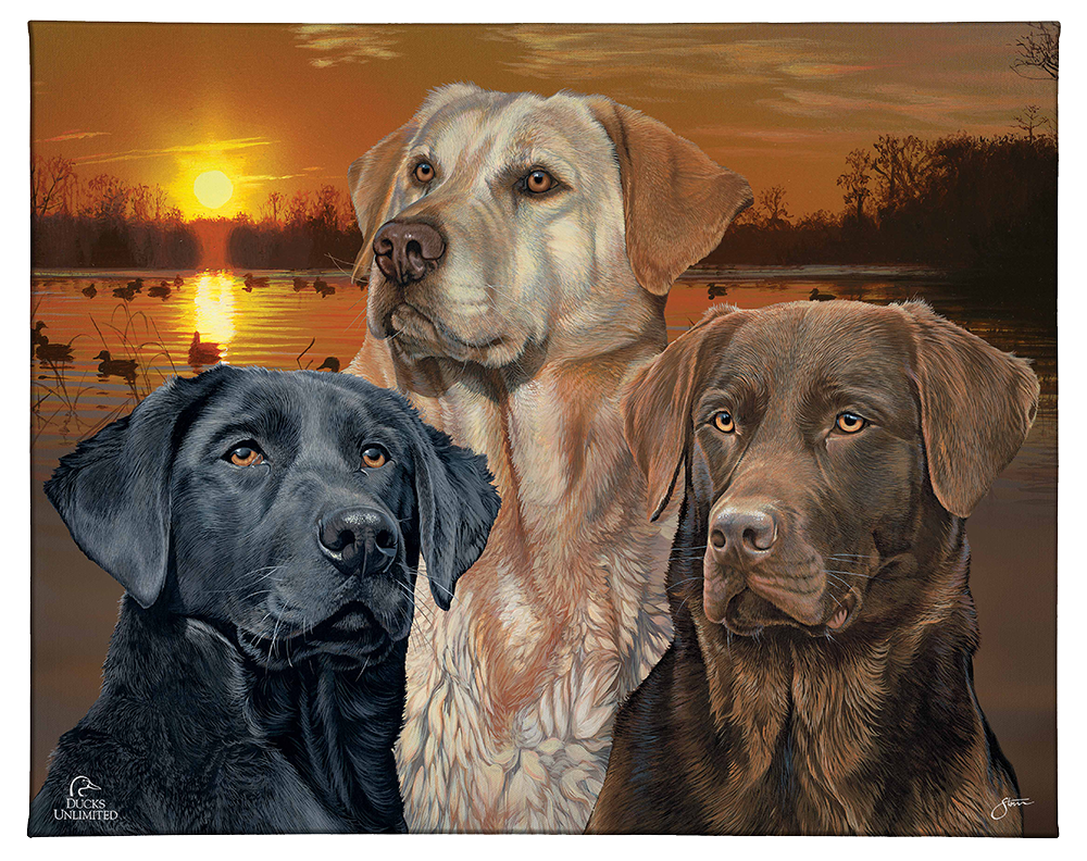 Labrador Retriever Element - Gallery Wrapped Canvas - Official Ducks Unlimited Art