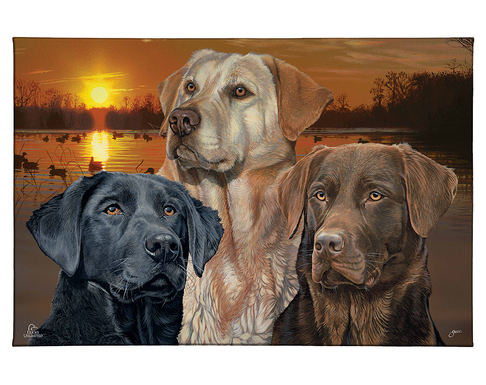 Labrador Retriever Element - Gallery Wrapped Canvas - Official Ducks Unlimited Art