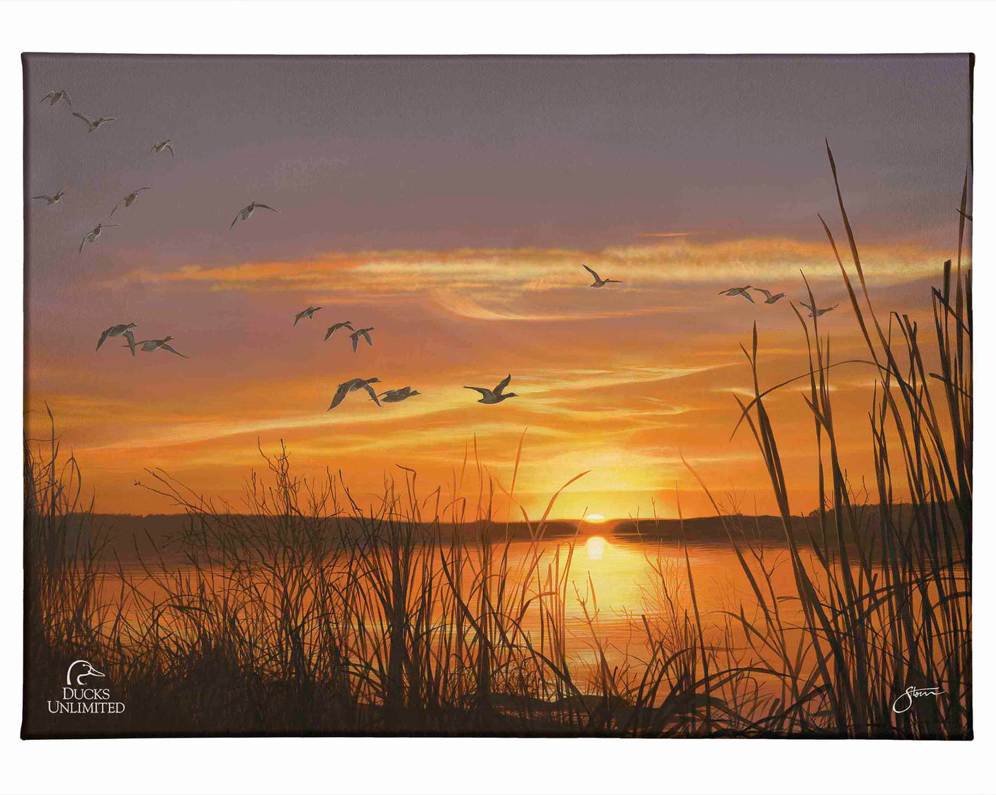 Sunset's Last Minutes Gallery Wrapped Canvas - Official Ducks Unlimited Art