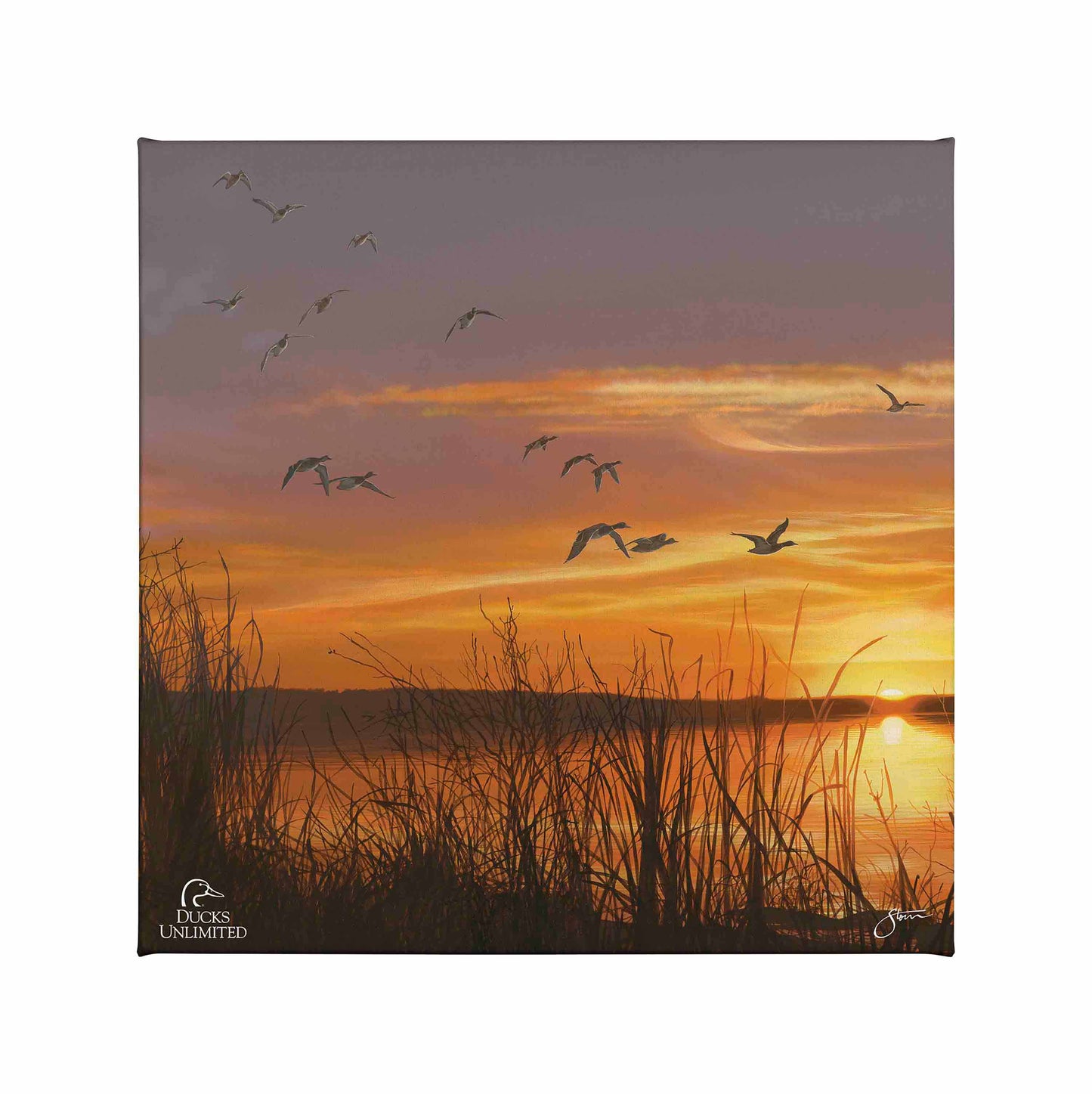 Sunset's Last Minutes Gallery Wrapped Canvas - Official Ducks Unlimited Art