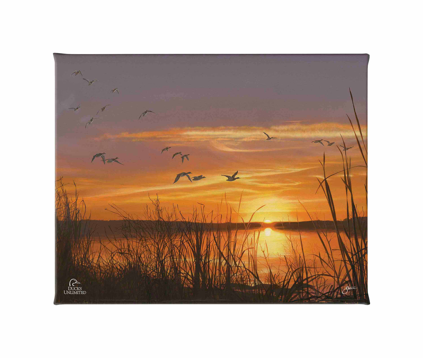Sunset's Last Minutes Gallery Wrapped Canvas - Official Ducks Unlimited Art