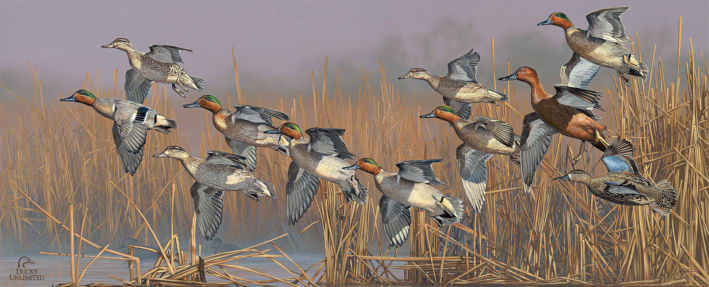 Teal Time  12" x 30" Wood Sign - Official Ducks Unlimited Art