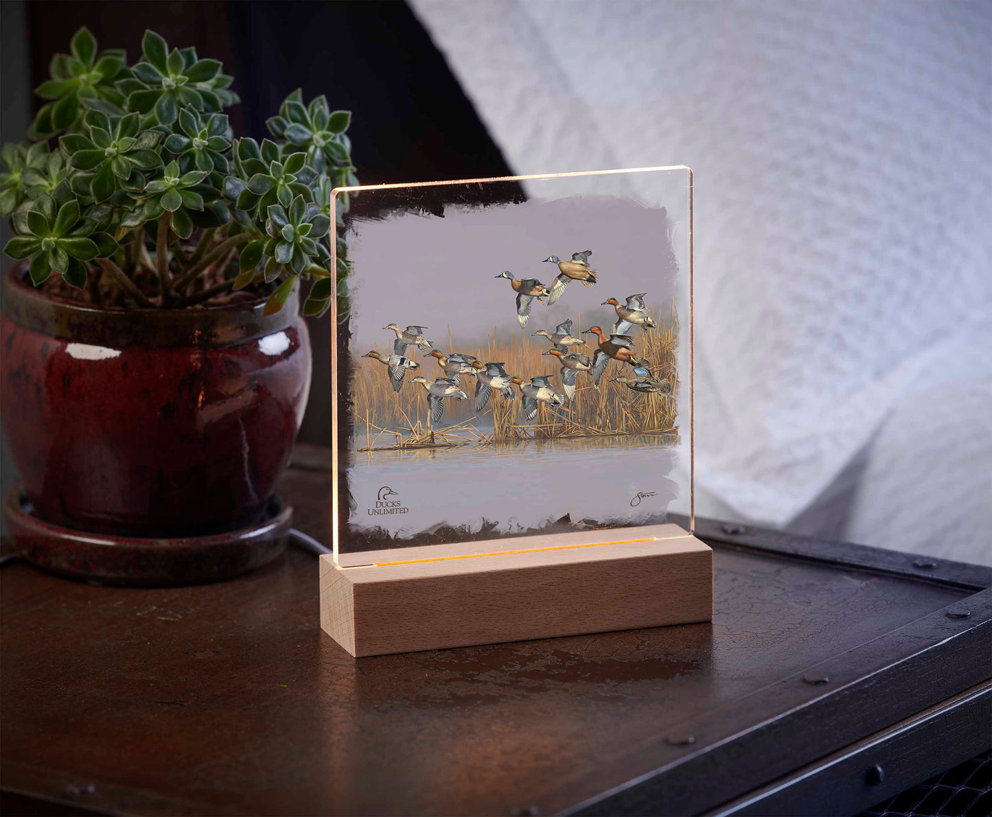 Teal Time  Acrylic Night Light - Official Ducks Unlimited Art