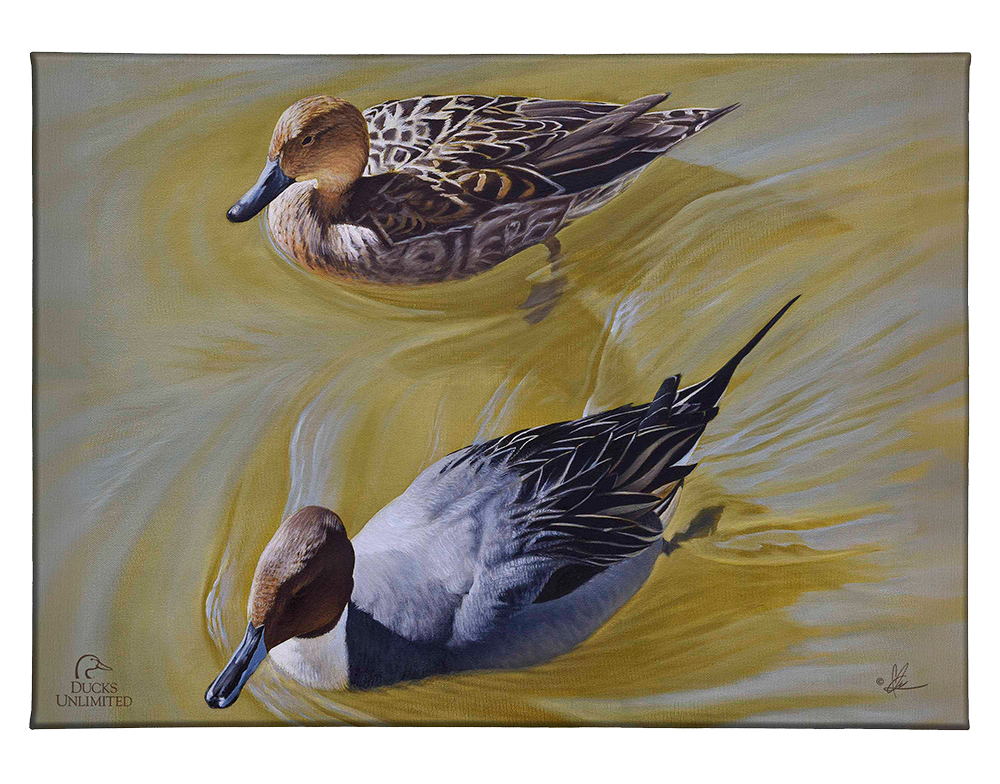 The Color of Yellow - Gallery Wrapped Canvas - Official Ducks Unlimited Art
