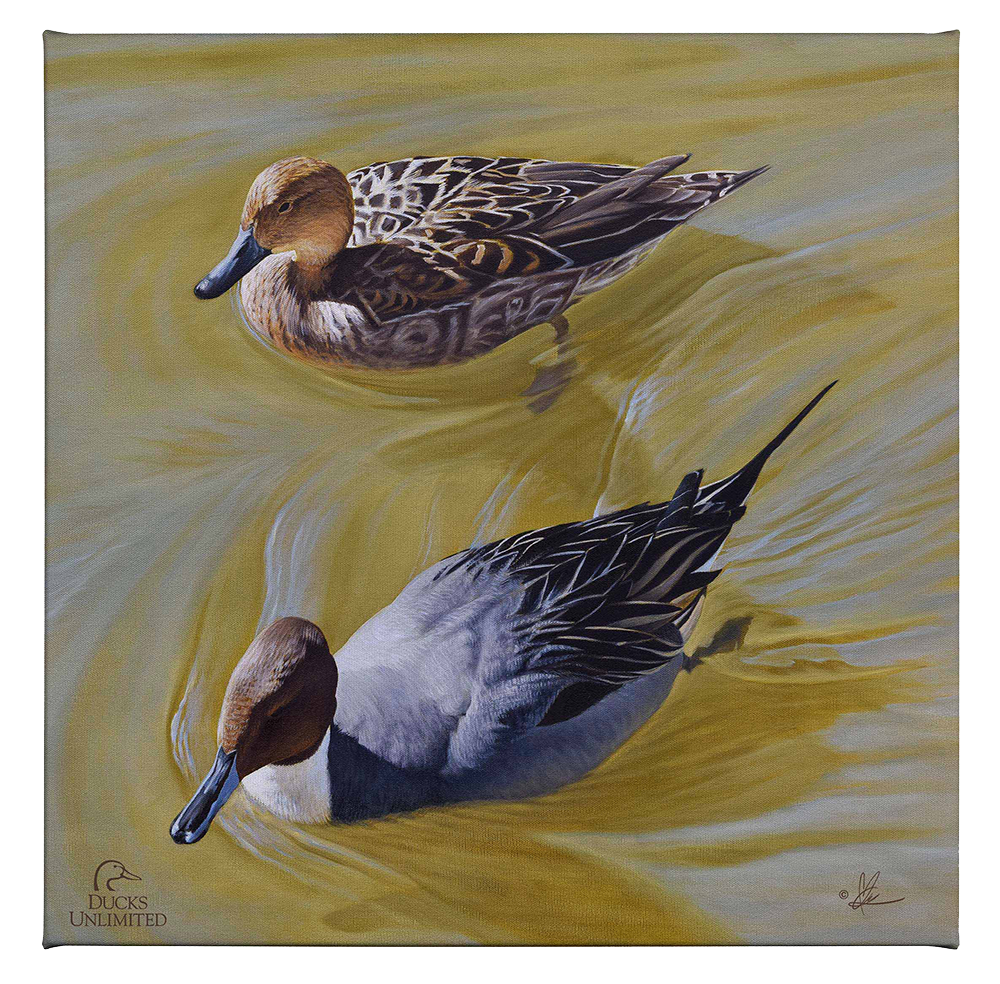 The Color of Yellow - Gallery Wrapped Canvas - Official Ducks Unlimited Art