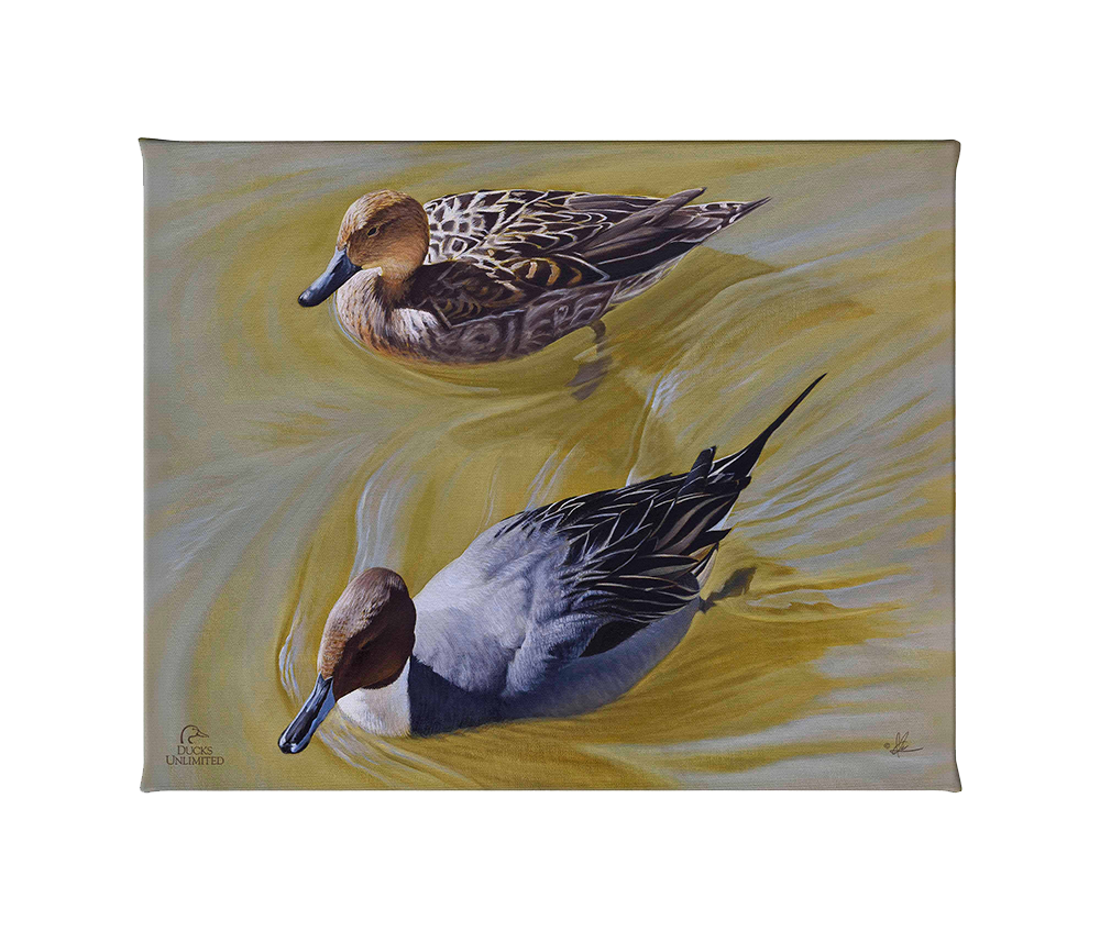 The Color of Yellow - Gallery Wrapped Canvas - Official Ducks Unlimited Art