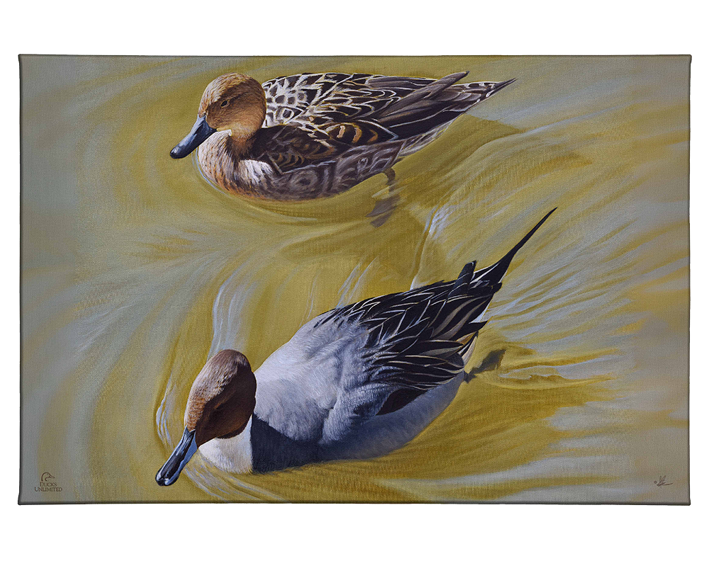 The Color of Yellow - Gallery Wrapped Canvas - Official Ducks Unlimited Art