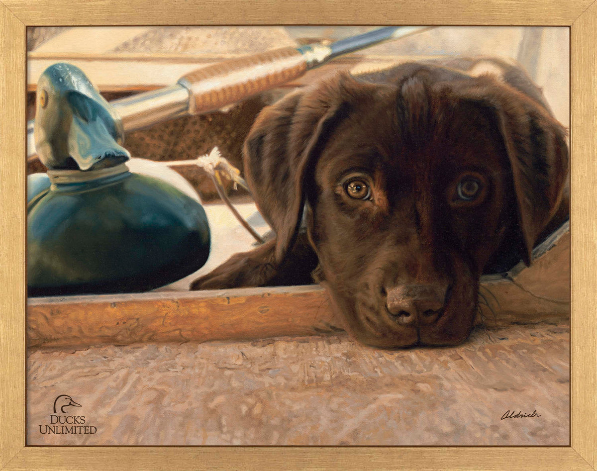 Three Hour Cruise - Art Prints - Official Ducks Unlimited Art