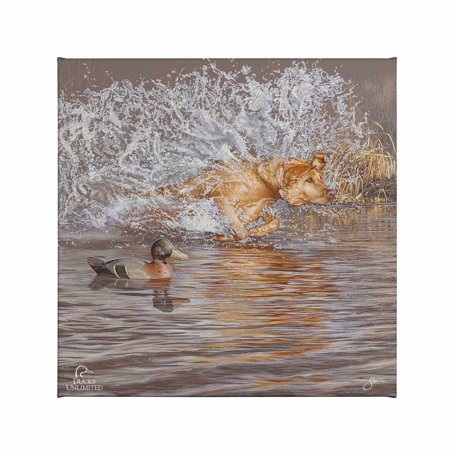 Time to Shine Gallery Wrapped Canvas - Official Ducks Unlimited Art