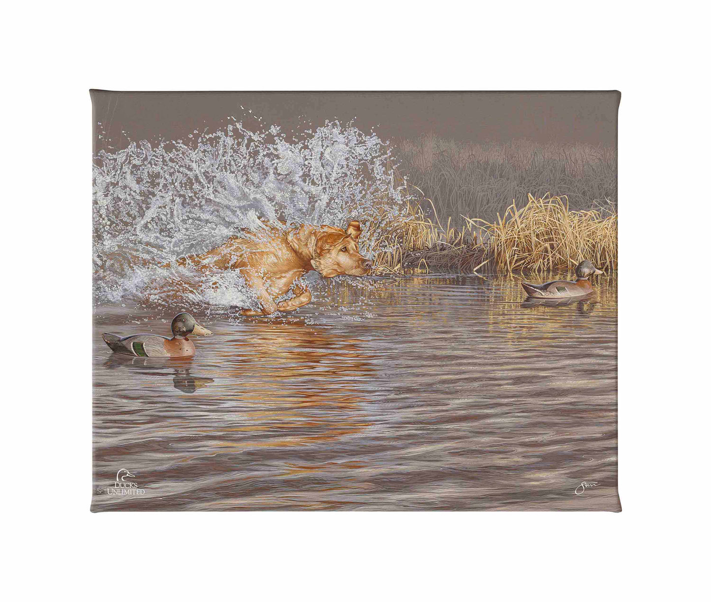 Time to Shine Gallery Wrapped Canvas - Official Ducks Unlimited Art