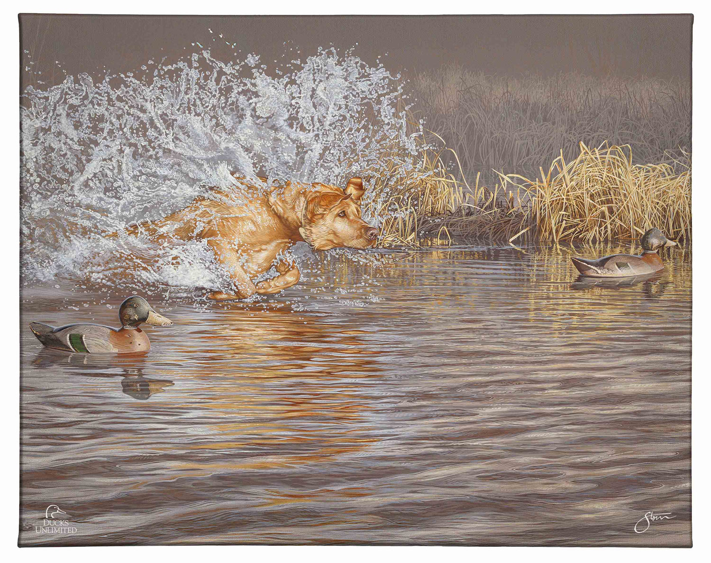 Time to Shine Gallery Wrapped Canvas - Official Ducks Unlimited Art