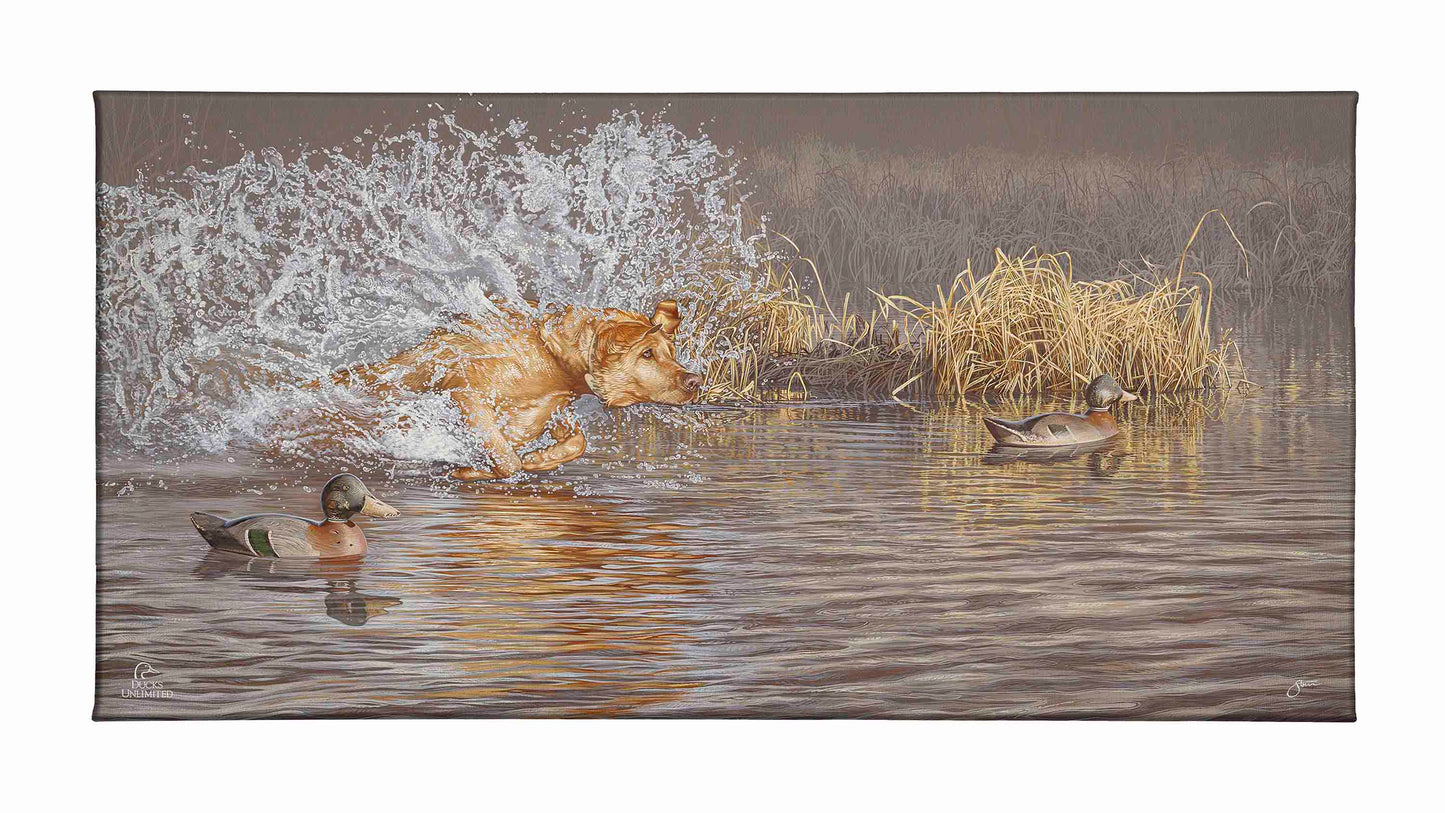 Time to Shine Gallery Wrapped Canvas - Official Ducks Unlimited Art