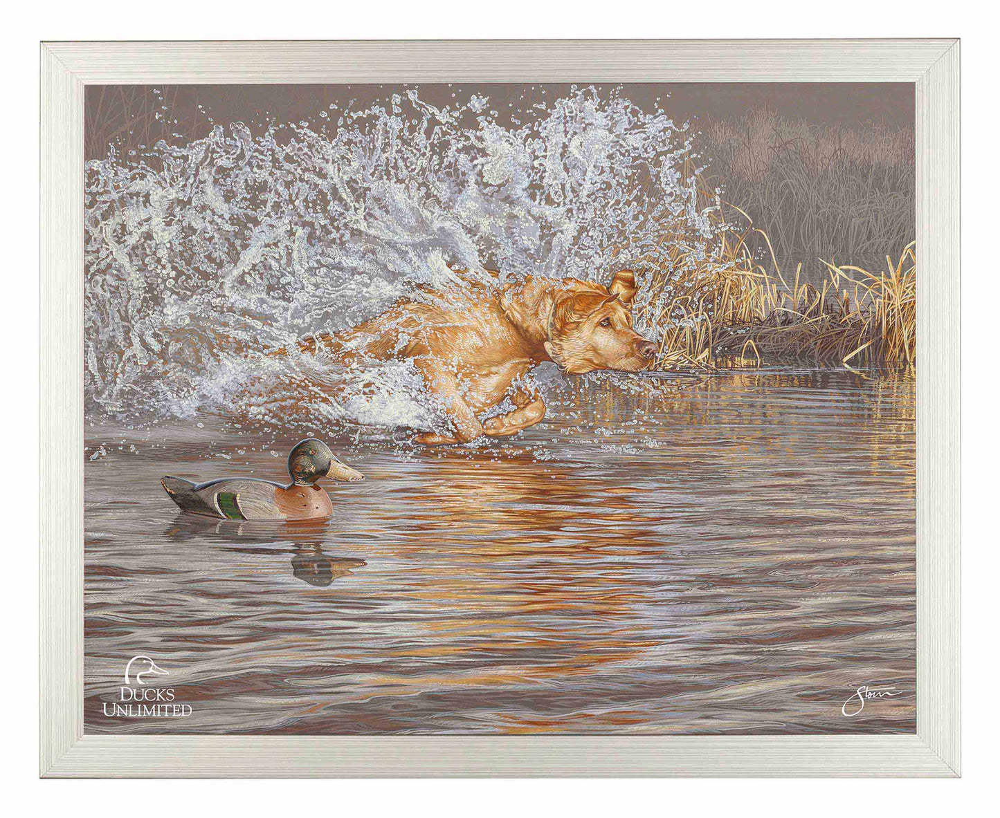 Time to Shine Art Prints - Official Ducks Unlimited Art