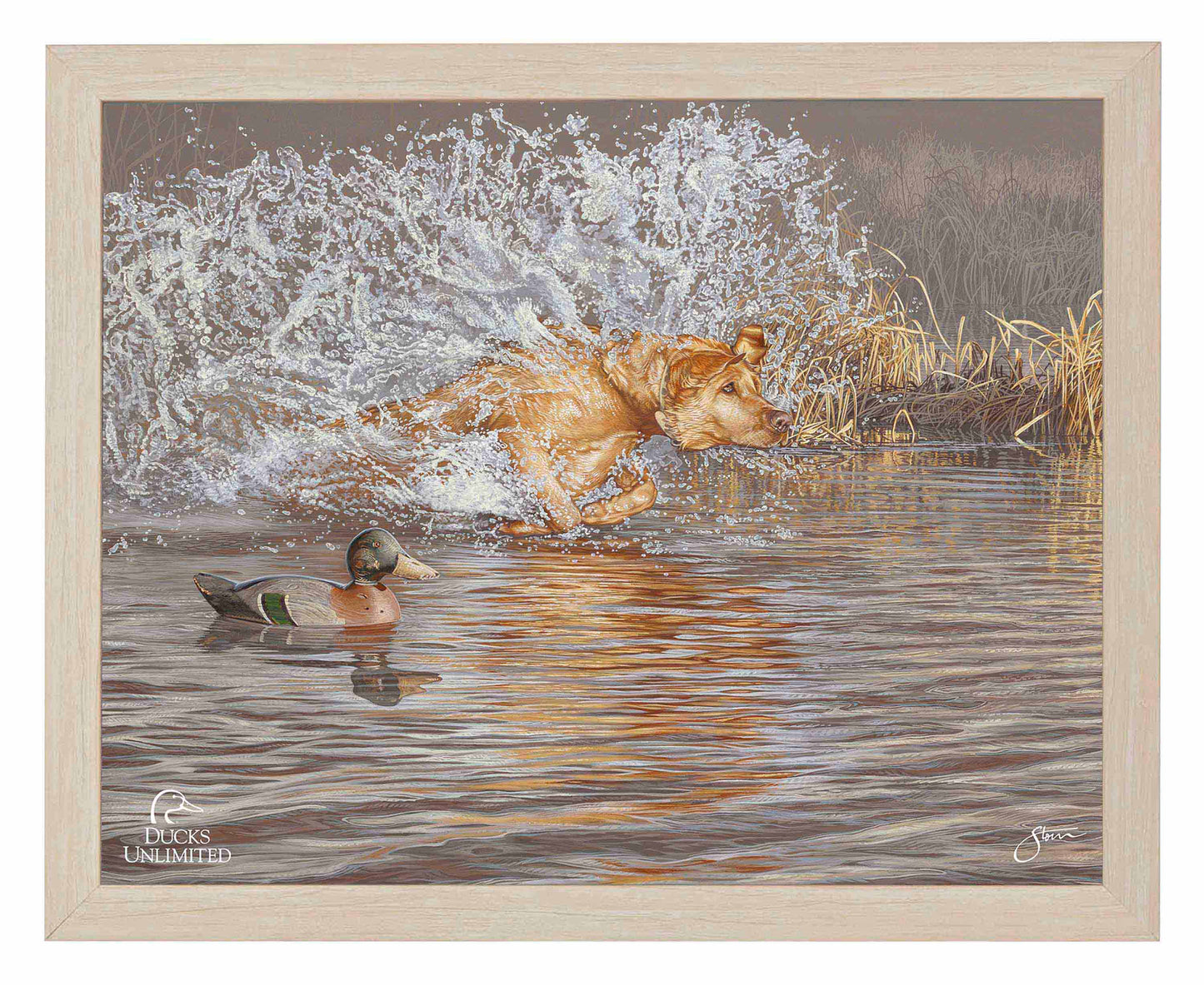 Time to Shine Art Prints - Official Ducks Unlimited Art