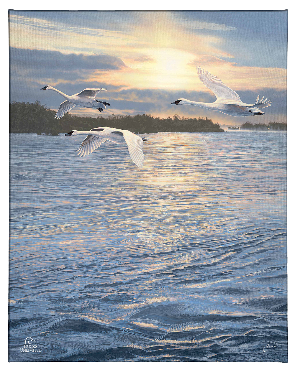 Trumpts at Sunset - Gallery Wrapped Canvas - Official Ducks Unlimited Art