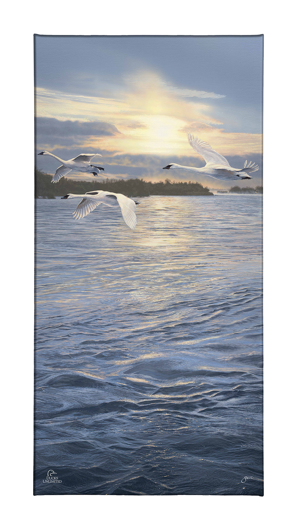 Trumpts at Sunset - Gallery Wrapped Canvas - Official Ducks Unlimited Art