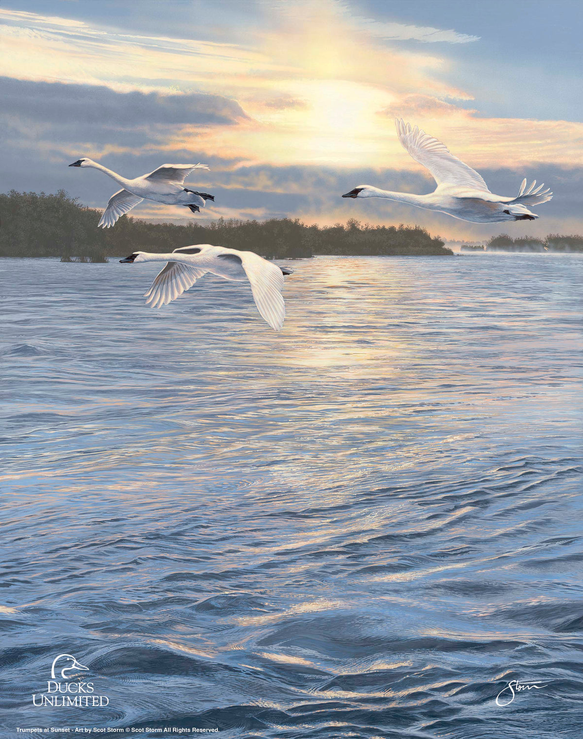 Trumpts at Sunset - Art Prints - Official Ducks Unlimited Art