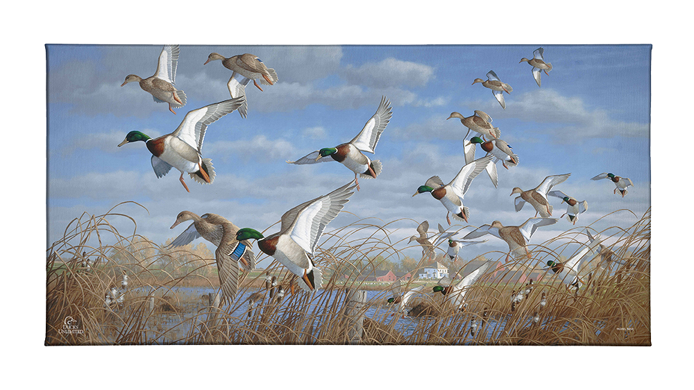 Vic's Pond - Gallery Wrapped Canvas - Official Ducks Unlimited Art